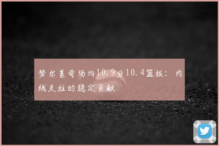 努尔基奇场均10.9分10.4篮板：内线支柱的稳定贡献